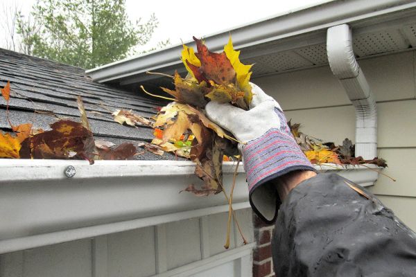 Cost of Clogged Gutter Clearing in Philadelphia