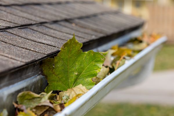 Commercial Downspout Cleaning in Philadelphia