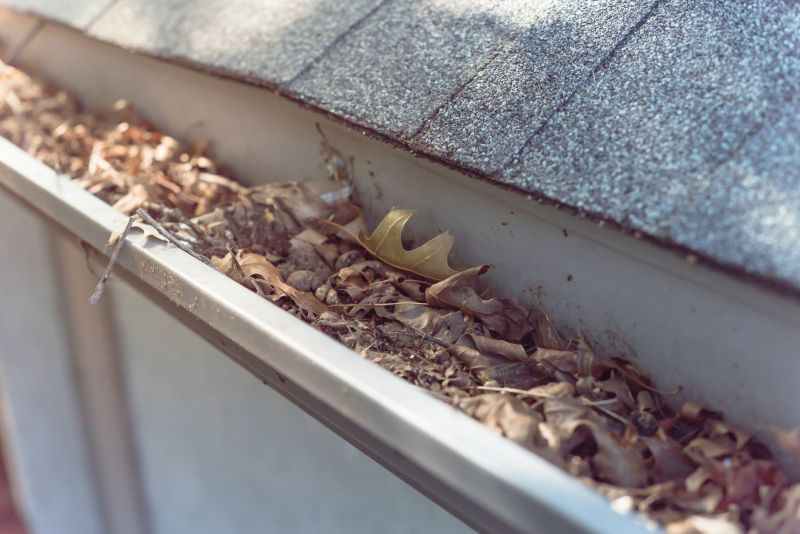 Clogged Gutters Before Cleaning