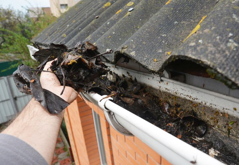 Leaf Gutter Cleaning